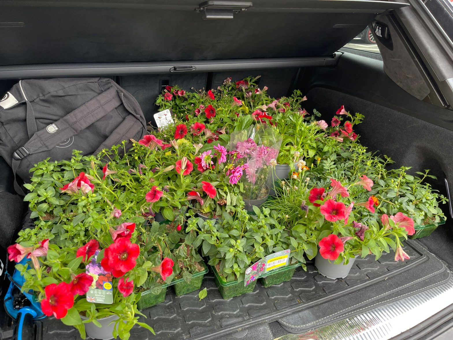 CC Juniors Autumn 2025